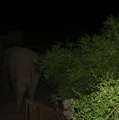 IMG_1805.jpg