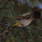 IMG_2679.jpg