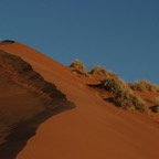 IMG_5533.jpg
