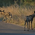 mozambique 2011 23.jpg