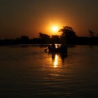 zimzam2014 448.jpg