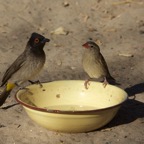 foto's zomer 2016 41.jpg