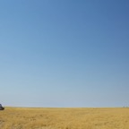 foto's zomer 2016 51.jpg