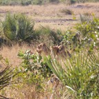 foto's zomer 2016 109.jpg