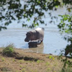 foto's zomer 2016 120.jpg