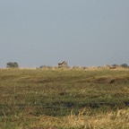 foto's zomer 2016 300.jpg