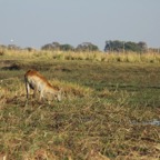 foto's zomer 2016 302.jpg