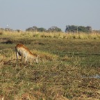 foto's zomer 2016 302.jpg