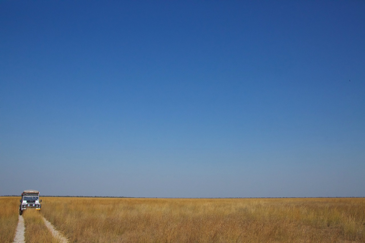 Loading Image