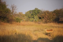 afrika2017 4197.jpg