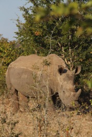 afrika2017 4321.jpg