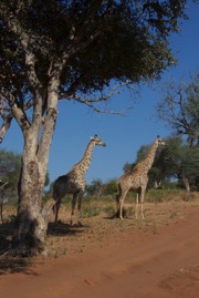 afrika2017 4413.jpg
