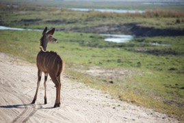 afrika2017 4420.jpg