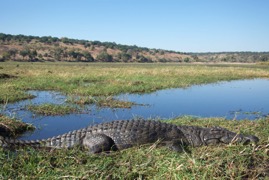 afrika2017 4452.jpg