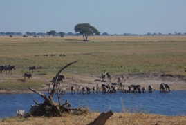 afrika2017 4477.jpg