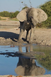 afrika2017 4502.jpg