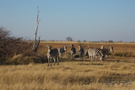 afrika2017 4510.jpg